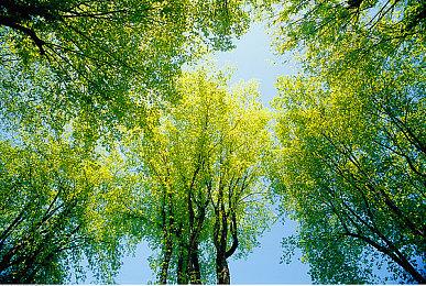 《古剑奇谭OL》海外版7月9日发售 全新预告发布